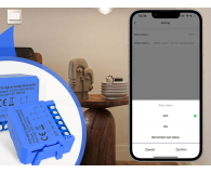 Avatto Inteligentny 1-kanałowy moduł przełącznika WiFi ze stykiem b - 1510598 - zdjęcie 7